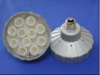 PAR38 Light (E27)